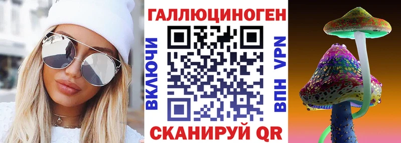 Псилоцибиновые грибы мицелий Высоковск